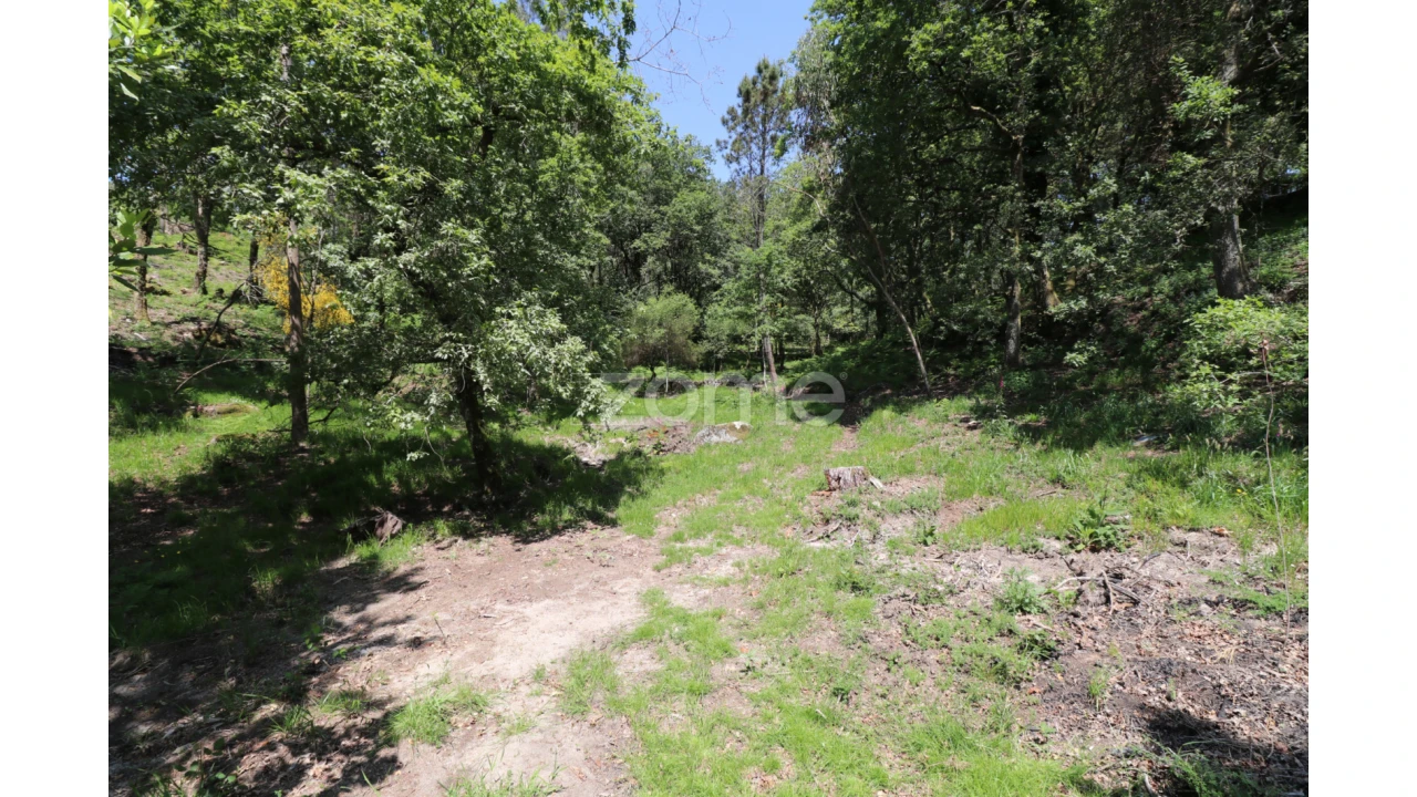 Terreno para Venda em Alvora e Loureda Foto 14