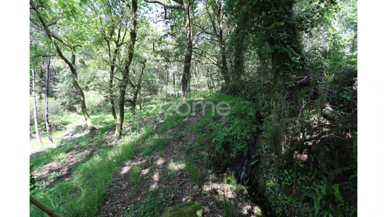 Terreno para Venda em Alvora e Loureda Foto 18