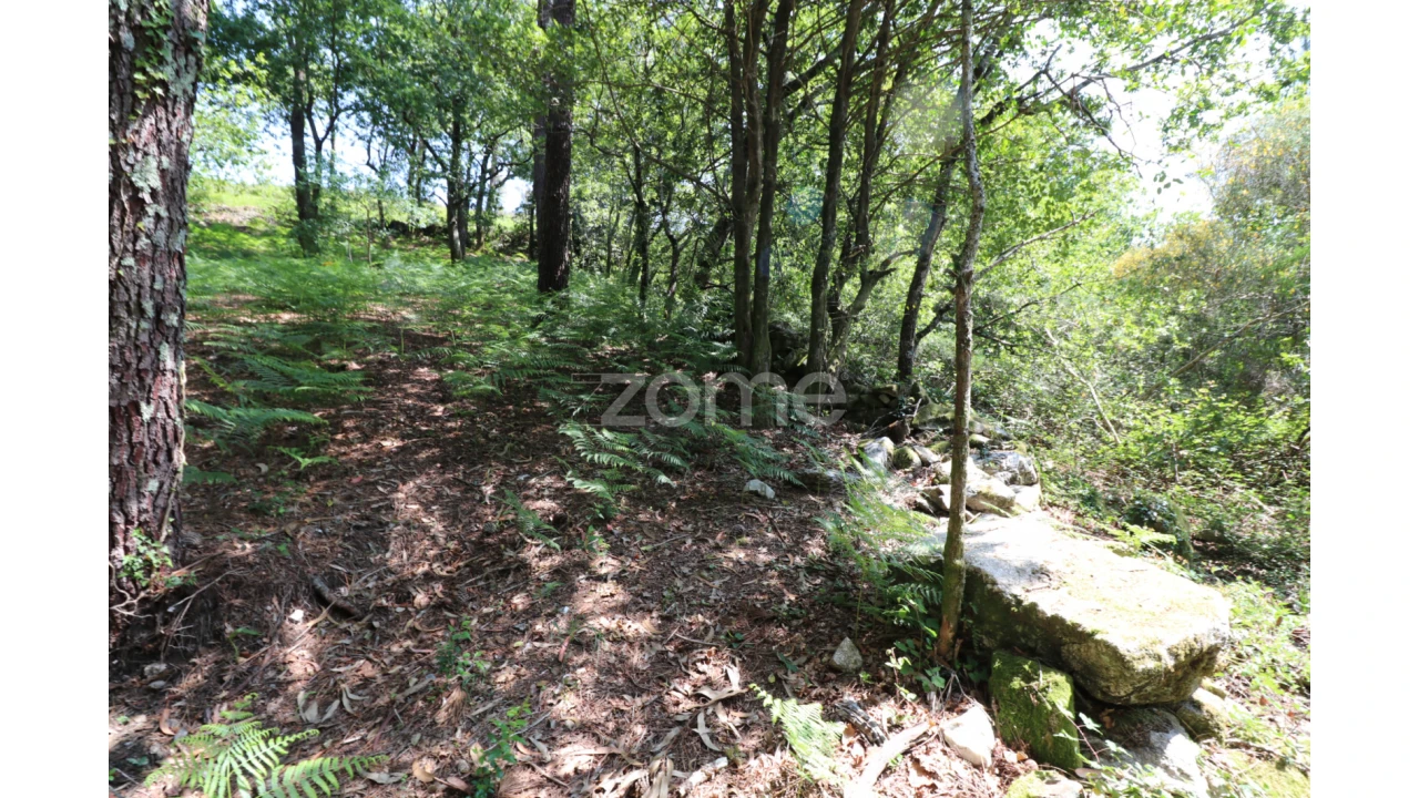Terreno para Venda em Alvora e Loureda Foto 19