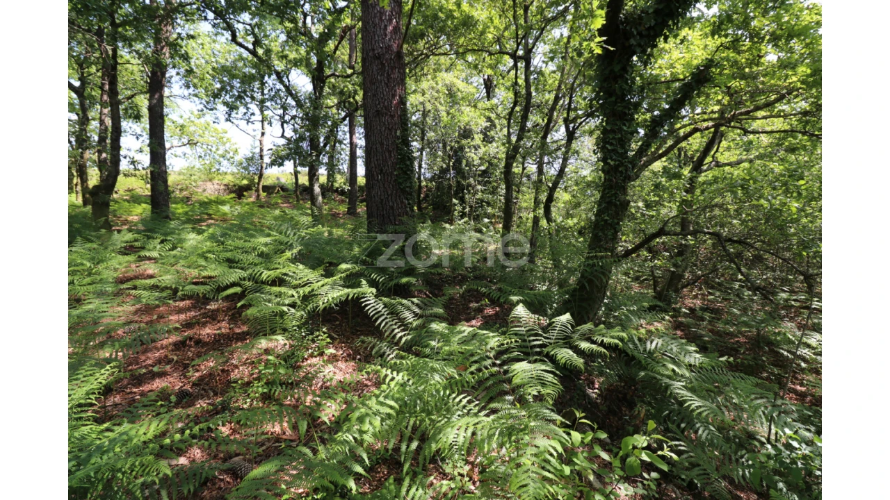 Terreno para Venda em Alvora e Loureda Foto 21