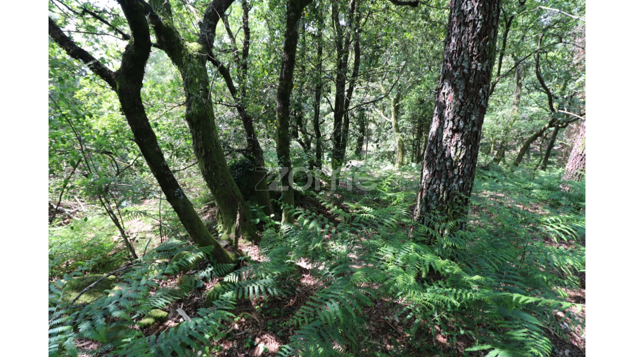 Terreno para Venda em Alvora e Loureda Foto 22