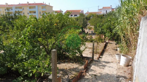 Terreno para Venda em Buarcos