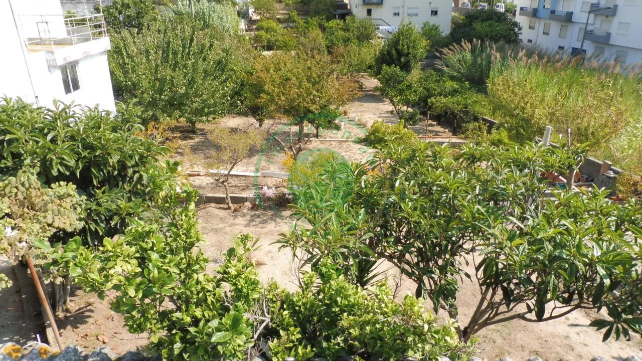 Terreno para Venda em Buarcos Foto 15