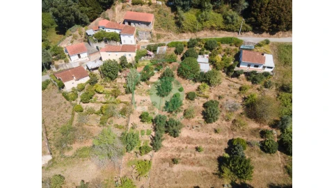 Terreno para Venda em Santo Antonio dos Olivais