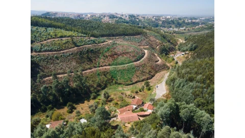 Terreno para Venda em Santo Antonio dos Olivais