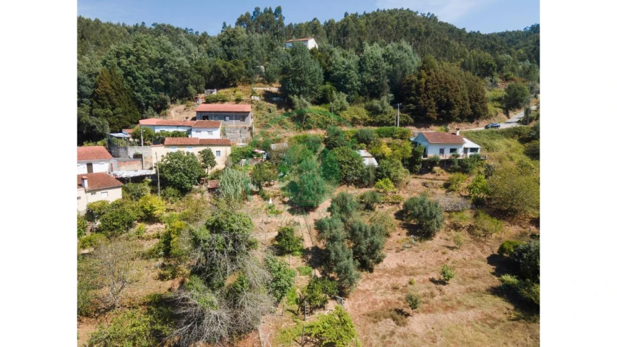 Terreno para Venda em Santo Antonio dos Olivais Foto 4