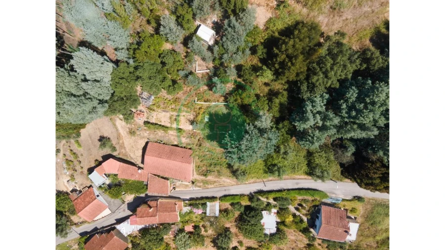 Terreno para Venda em Santo Antonio dos Olivais Foto 5