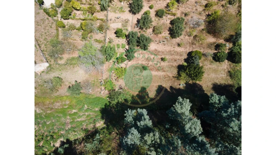 Terreno para Venda em Santo Antonio dos Olivais Foto 8