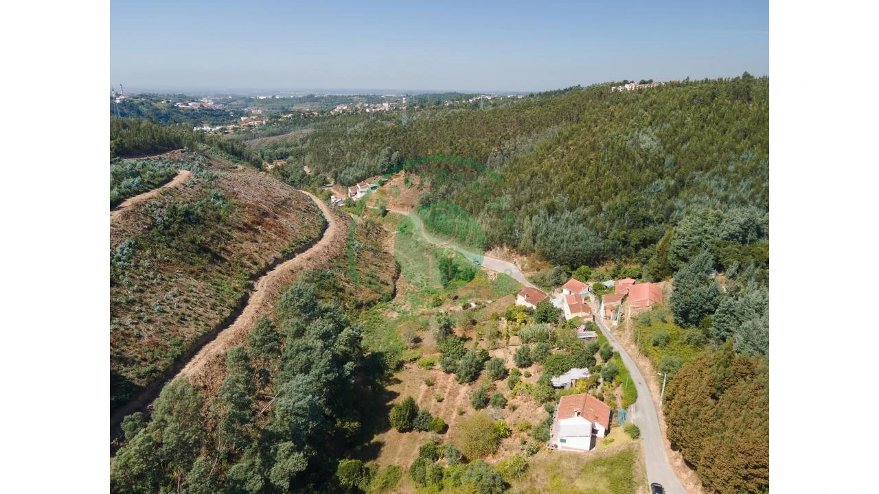 Terreno para Venda em Santo Antonio dos Olivais Foto 3