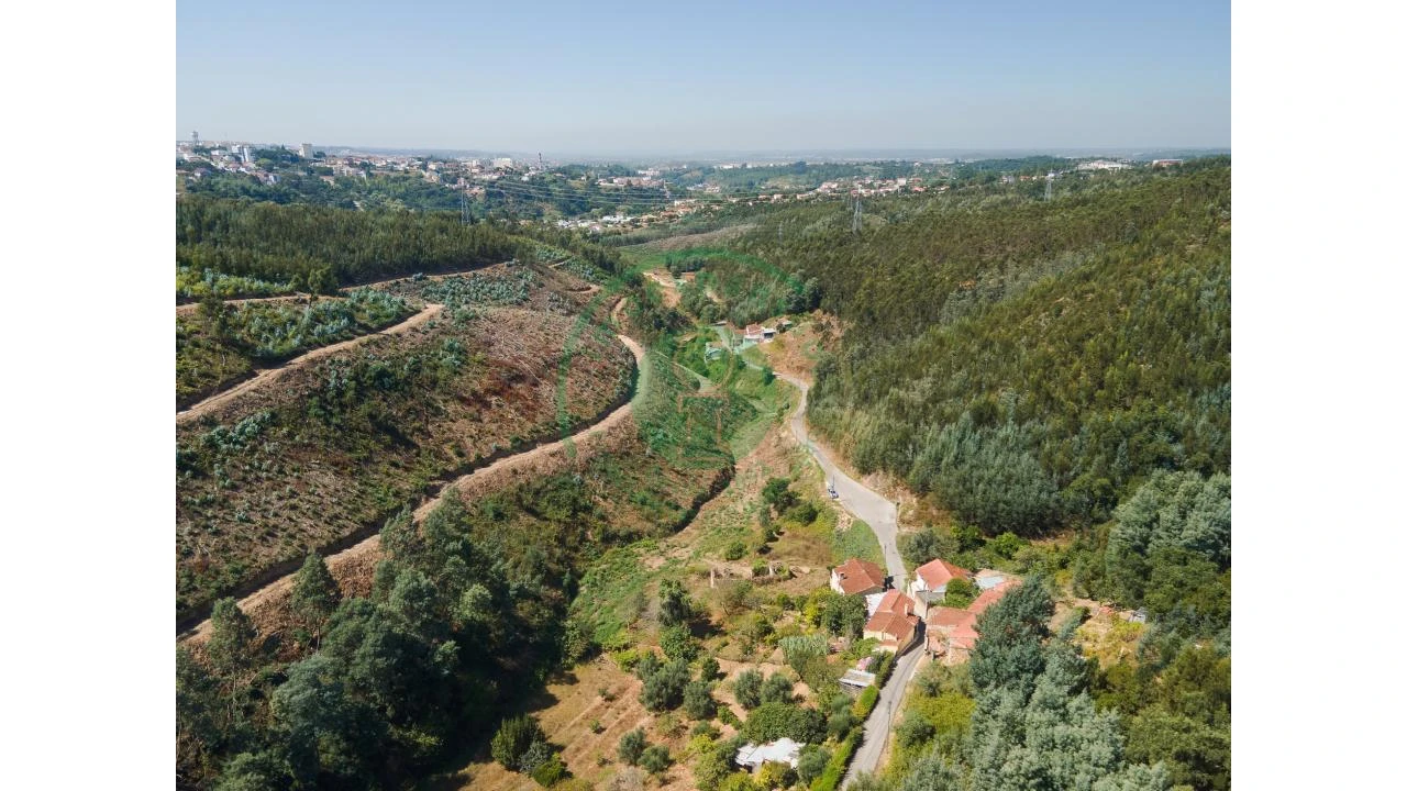 Terreno para Venda em Santo Antonio dos Olivais Foto 9