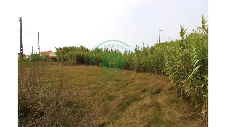 Terreno para Venda em Lavos Foto 11