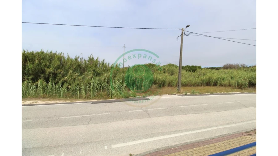 Terreno para Venda em Lavos Foto 13