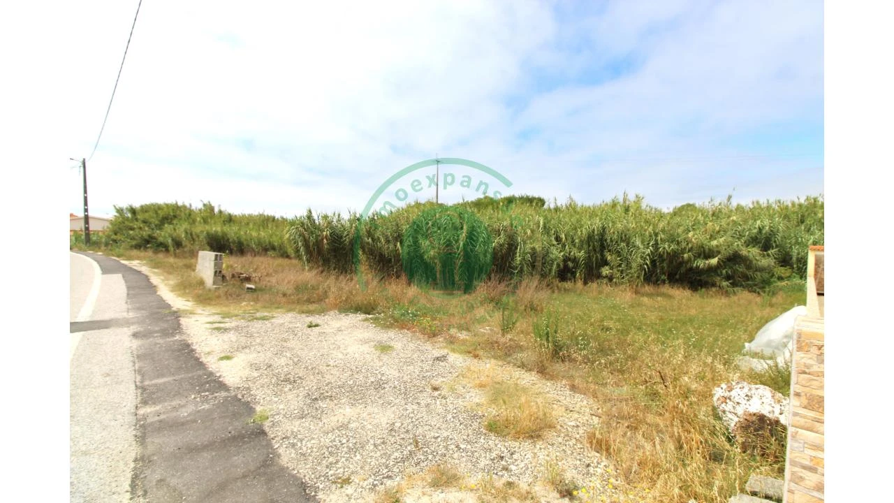 Terreno para Venda em Lavos Foto 12