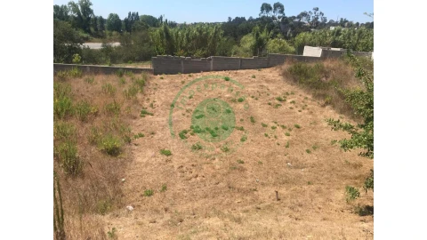 Terreno para Venda em São Silvestre