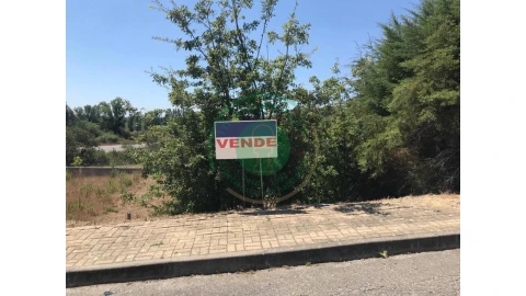 Terreno para Venda em São Silvestre