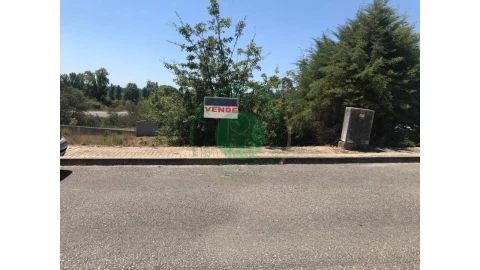 Terreno para Venda em São Silvestre
