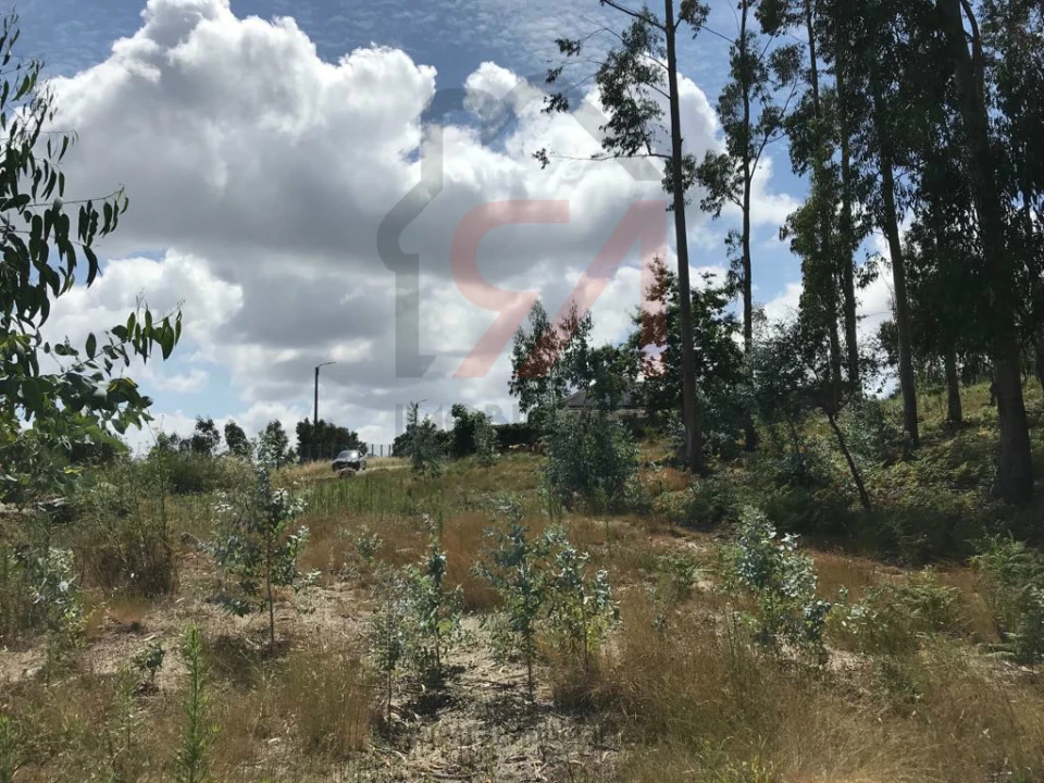 Terreno para Venda em Penamaior Foto 6