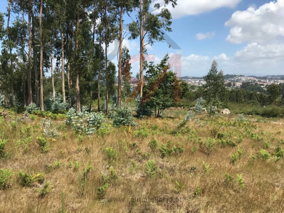 Terreno para Venda em Penamaior Foto 5