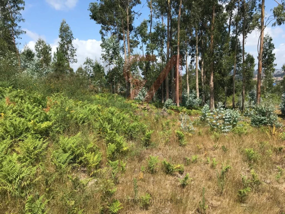 Terreno para Venda em Penamaior Foto 4