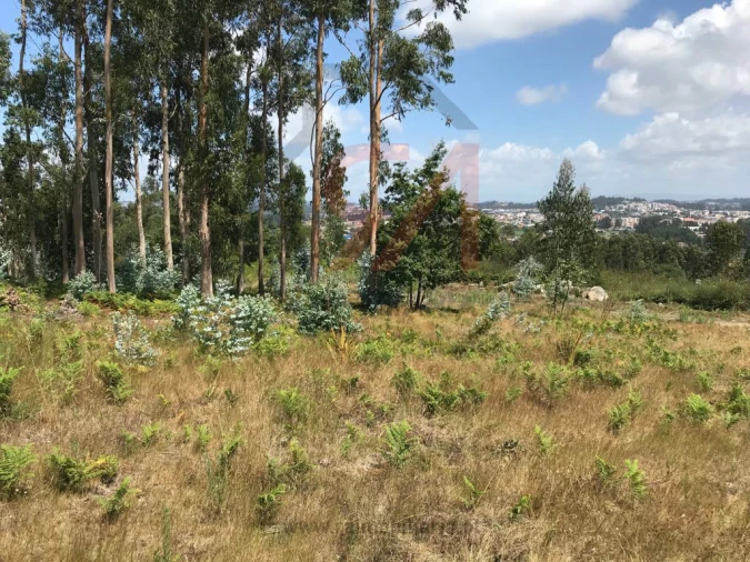 Terreno para Venda em Penamaior Foto 5