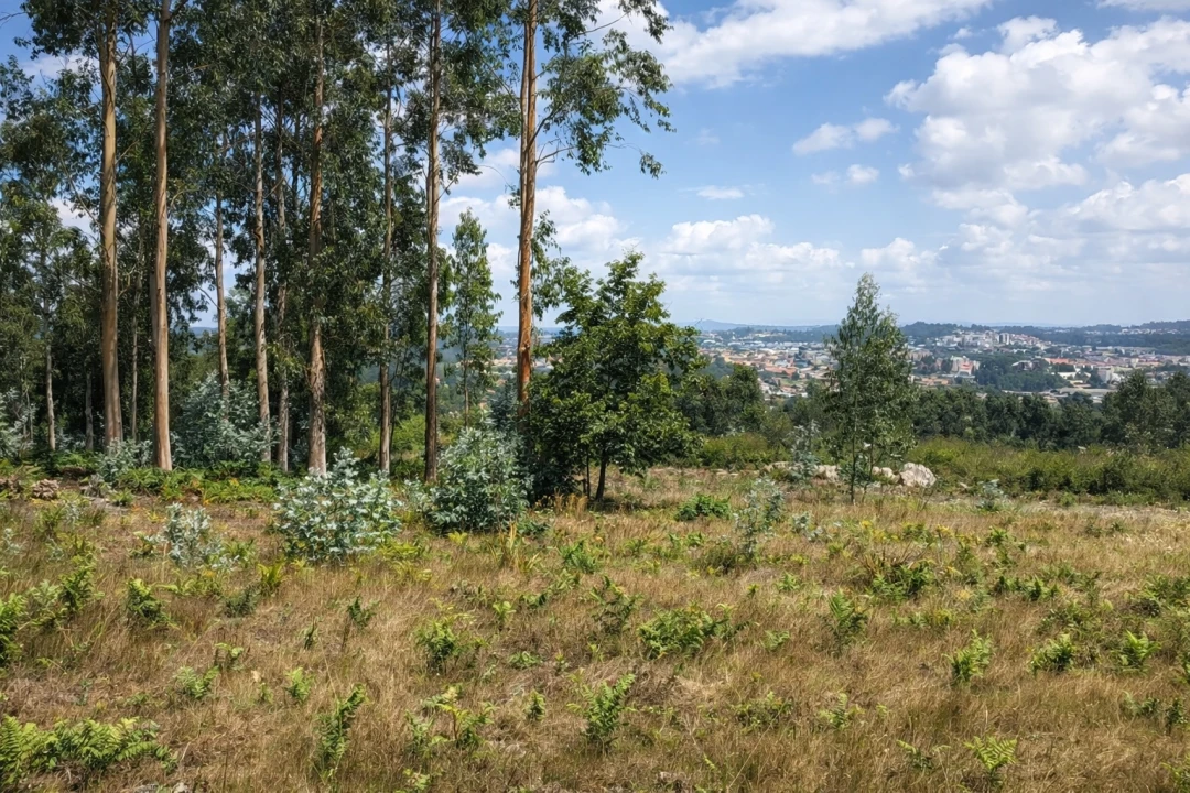 Terreno para Venda em Penamaior Foto 3