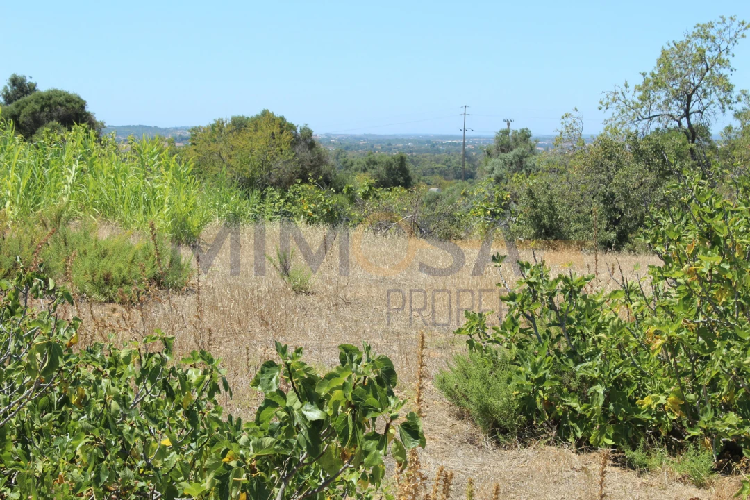 Terreno para Venda em Portimão Foto 5