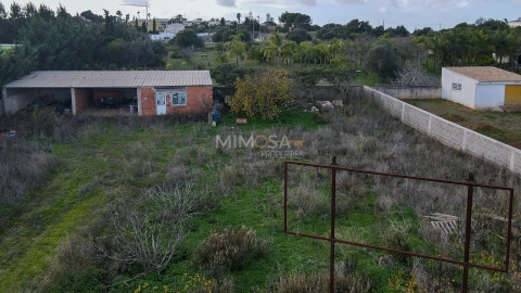Terreno para Venda em Luz
