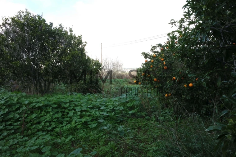 Moradia T6 para Venda em Lagos (São Sebastião e Santa Maria) Foto 53