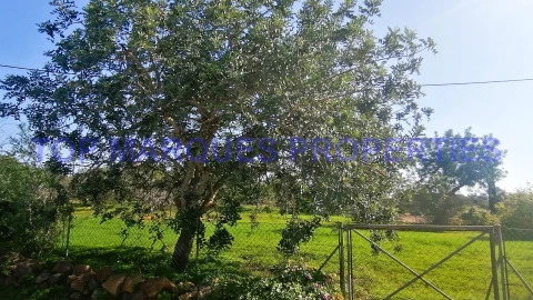 Moradia T3 para Venda em Moncarapacho e Fuseta