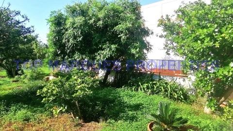 Moradia T3 para Venda em Moncarapacho e Fuseta