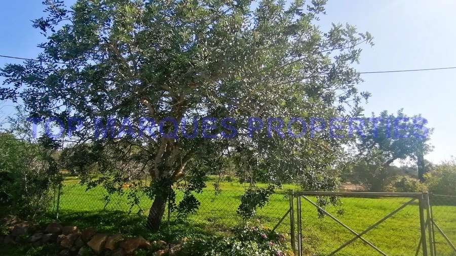 Moradia T3 para Venda em Moncarapacho e Fuseta Foto 36