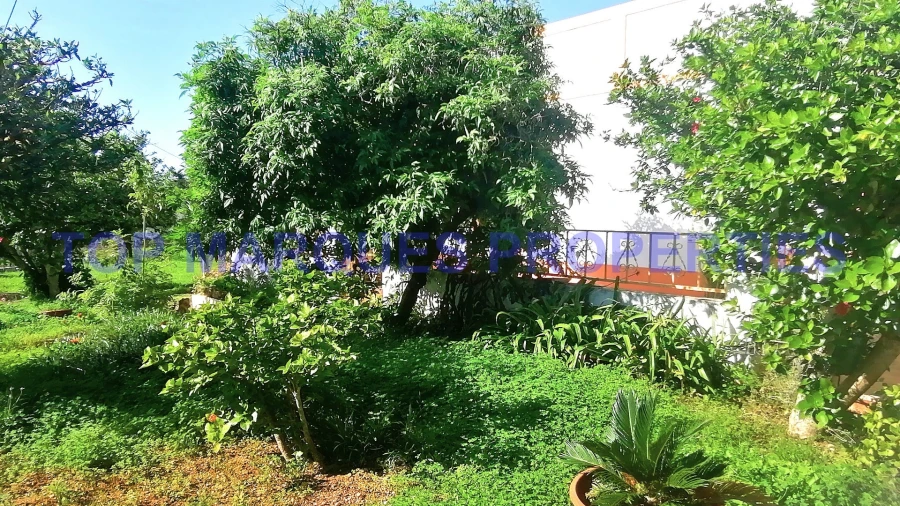 Moradia T3 para Venda em Moncarapacho e Fuseta Foto 37