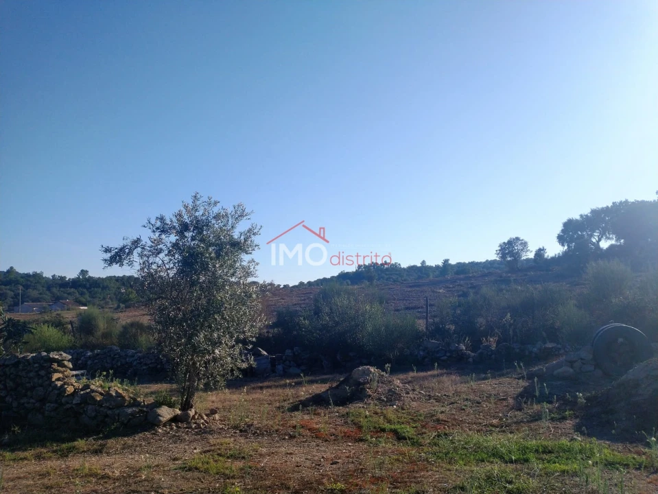 Terreno Agricola ou Rústico para Venda em Alagoa Foto 10
