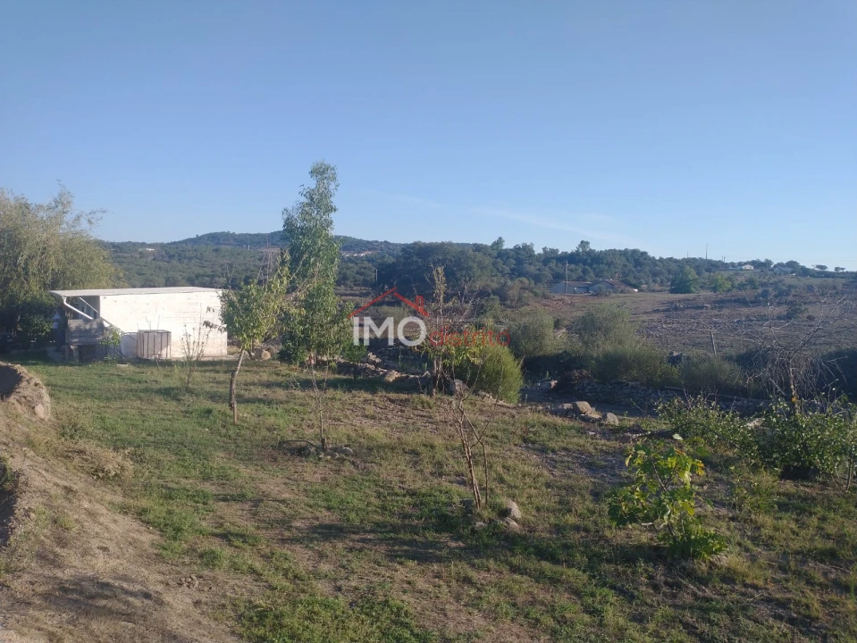 Terreno Agricola ou Rústico para Venda em Alagoa Foto 1