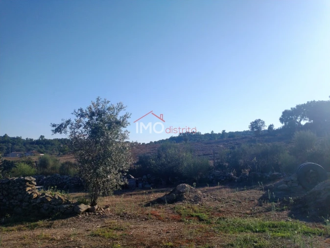 Terreno Agricola ou Rústico para Venda em Alagoa Foto 10