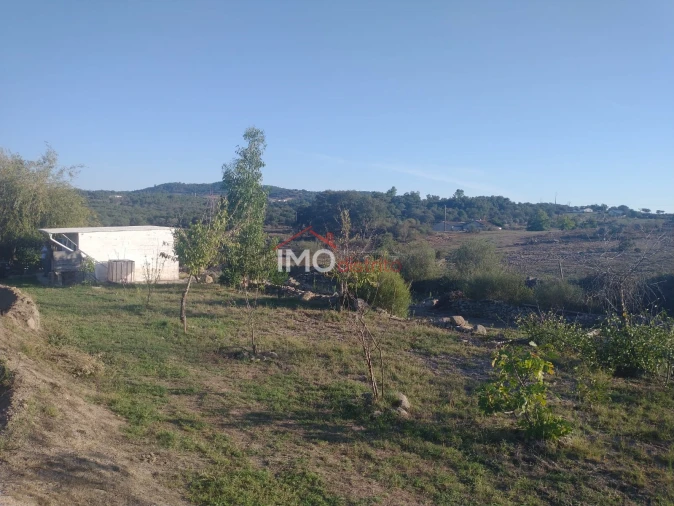 Terreno Agricola ou Rústico para Venda em Alagoa Foto 1