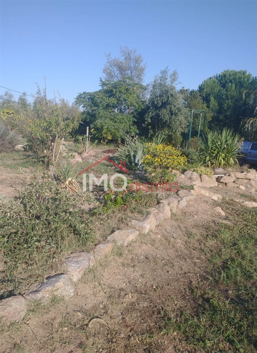 Terreno Agricola ou Rústico para Venda em Alagoa Foto 17