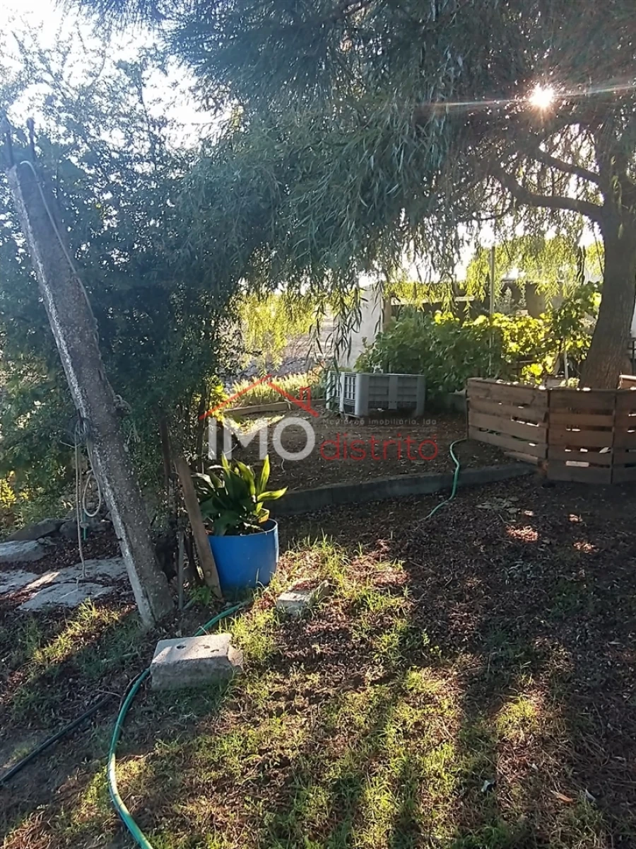 Terreno Agricola ou Rústico para Venda em Alagoa Foto 12