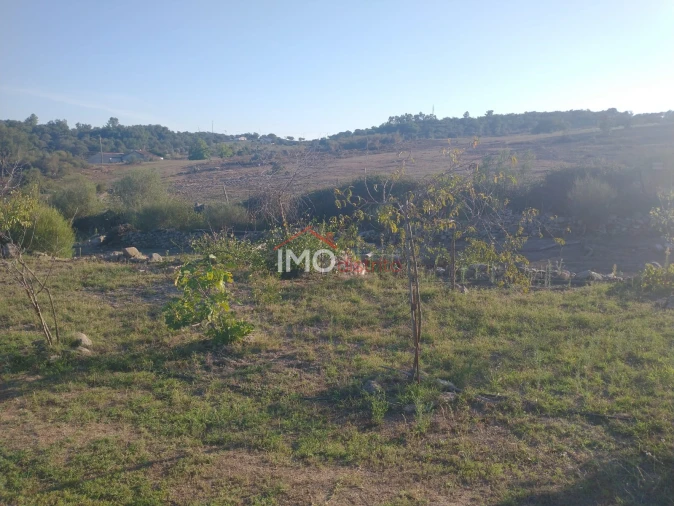 Terreno Agricola ou Rústico para Venda em Alagoa Foto 19