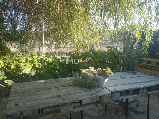 Terreno Agricola ou Rústico para Venda em Alagoa Foto 15