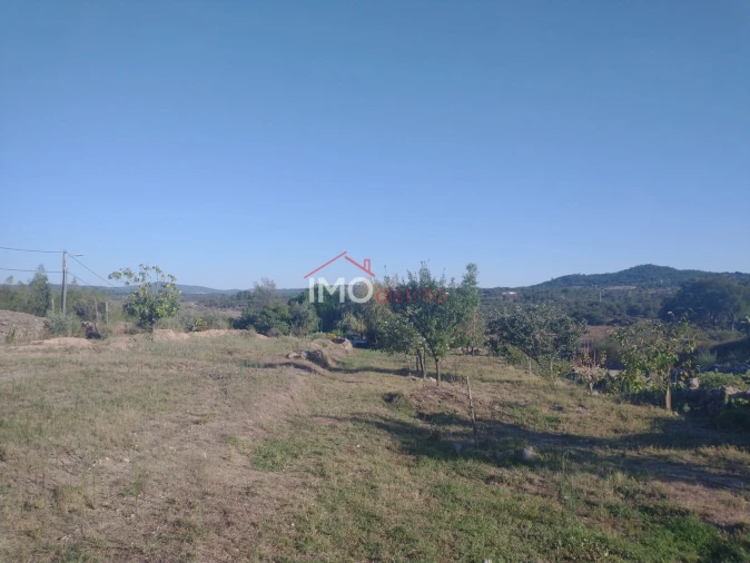 Terreno Agricola ou Rústico para Venda em Alagoa Foto 11