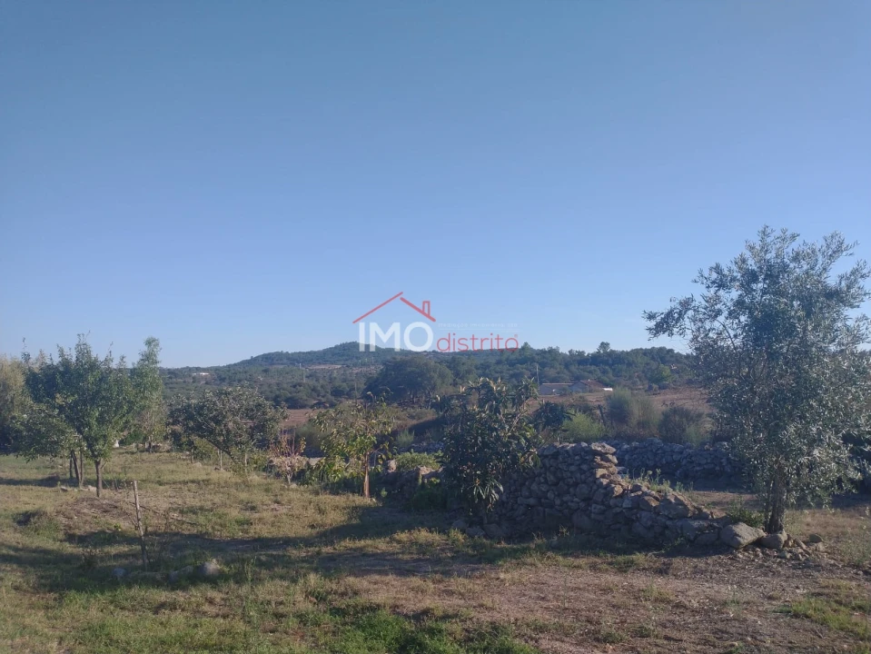 Terreno Agricola ou Rústico para Venda em Alagoa Foto 7