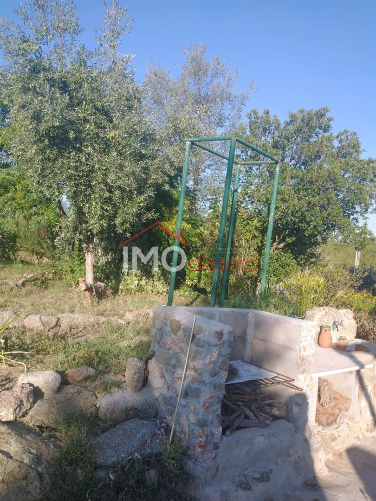 Terreno Agricola ou Rústico para Venda em Alagoa Foto 16