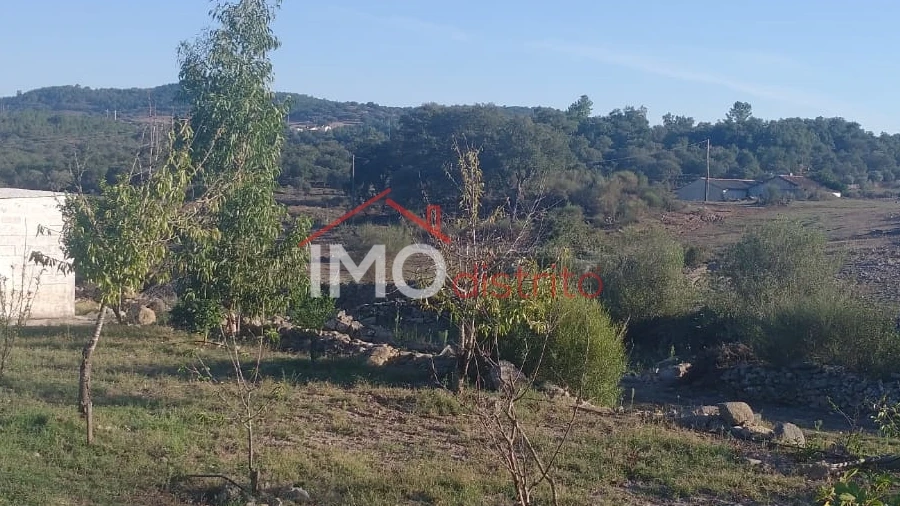 Terreno Agricola ou Rústico para Venda em Alagoa