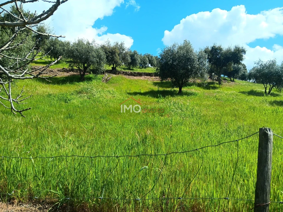 Terreno Agricola ou Rústico para Venda em Beirã Foto 9