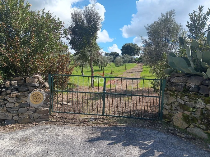 Terreno Agricola ou Rústico para Venda em Beirã Foto 14