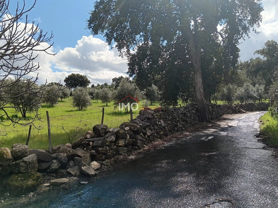 Terreno Agricola ou Rústico para Venda em Beirã Foto 2