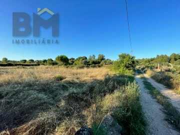 Terreno Agricola ou Rústico para Venda em Freixial e Juncal do Campo