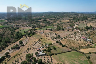 Terreno Agricola ou Rústico para Venda em Freixial e Juncal do Campo