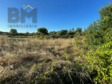 Terreno Agricola ou Rústico para Venda em Freixial e Juncal do Campo